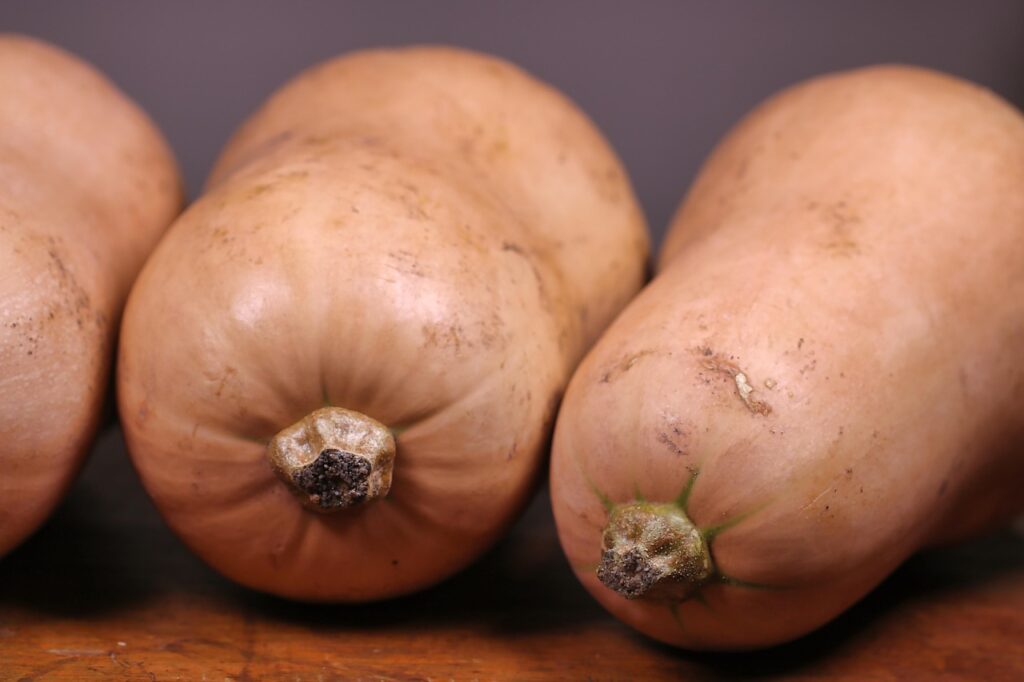 how long do butternut squash take to grow
