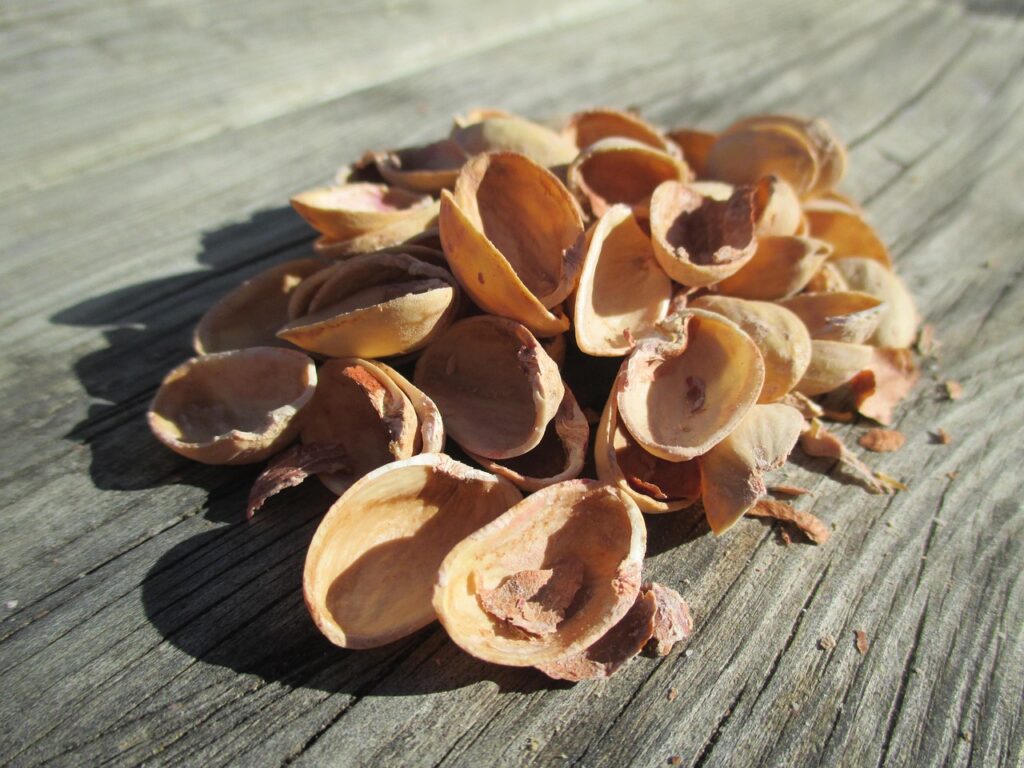 what can you do with pistachio shells