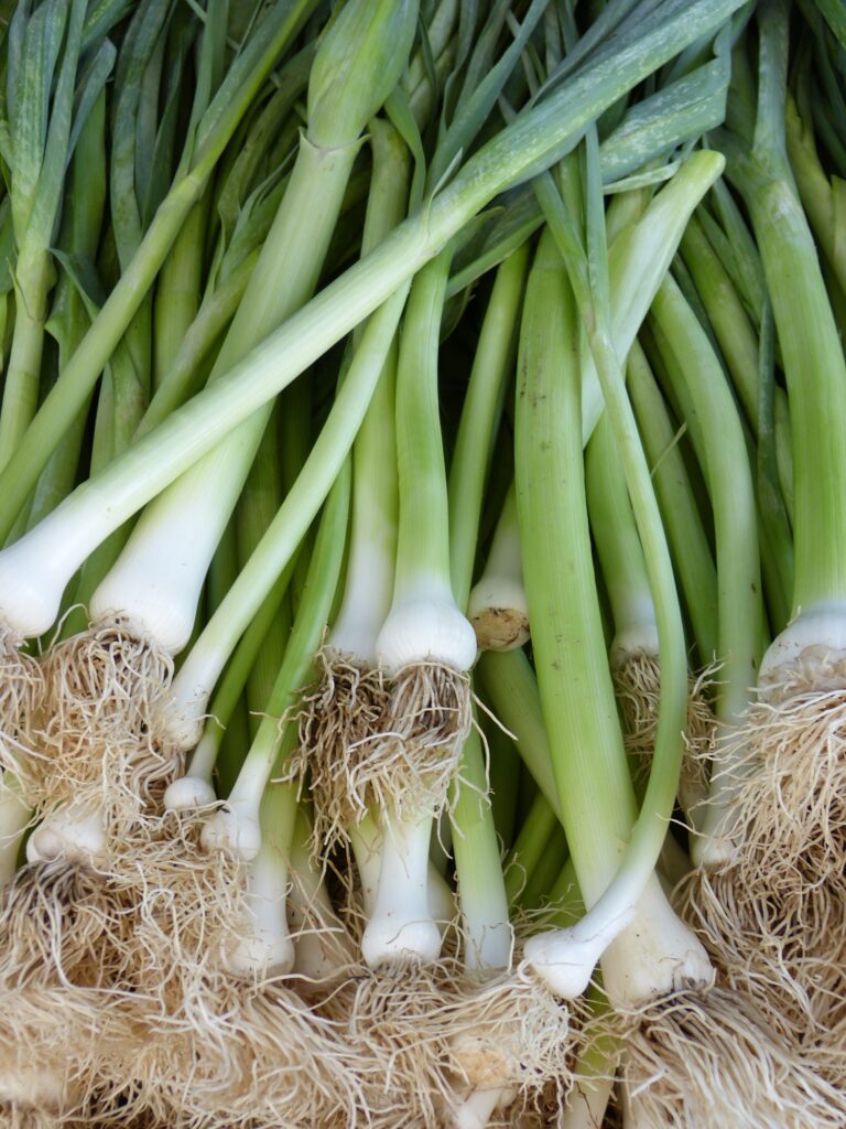 shallot greens