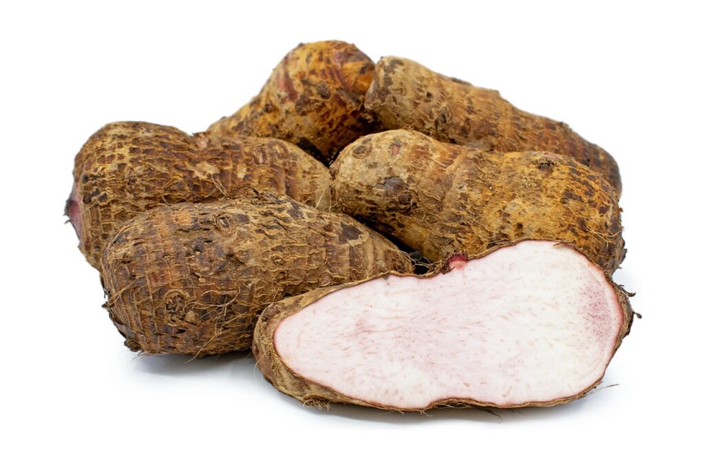 what is a taro plant