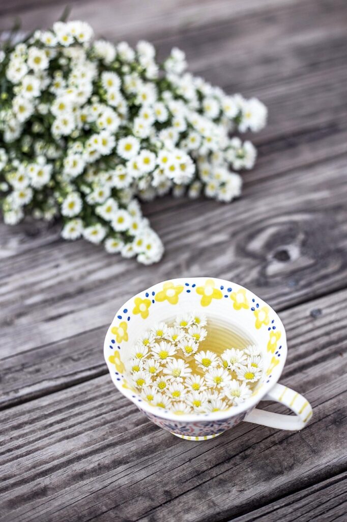 how do you make chamomile tea from the plant